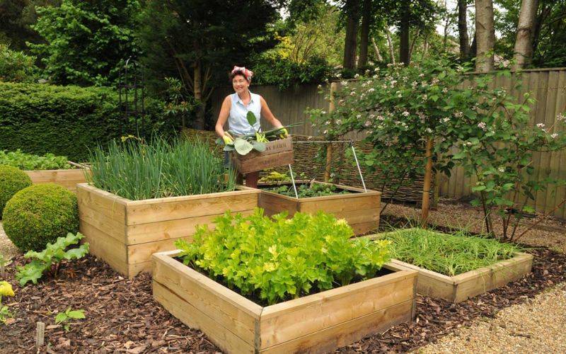 Allotment Week 2025 Blog 2